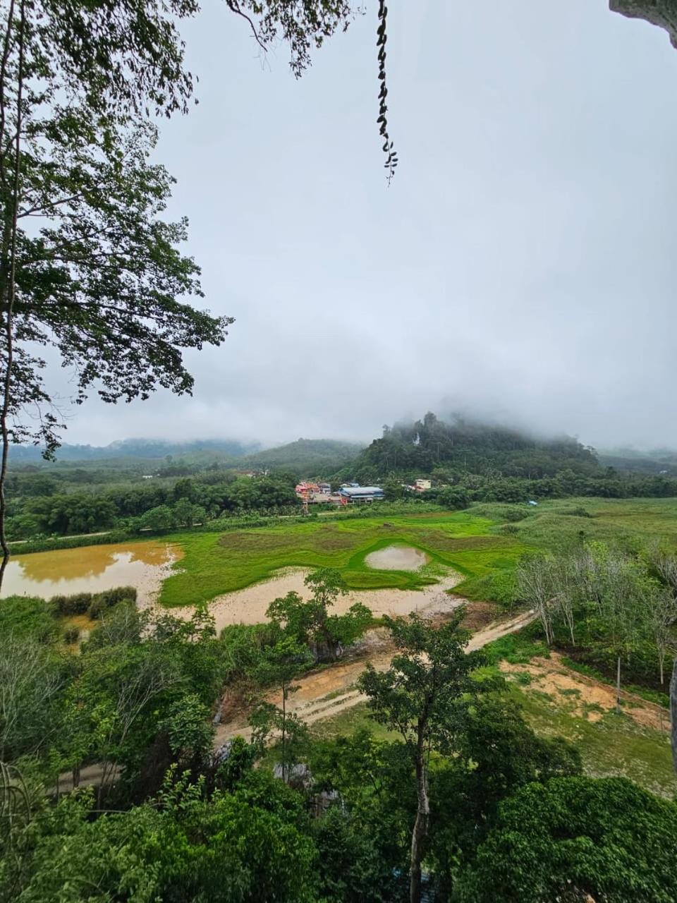 Country House Pulai Holiday Village Gua Musang Bagian luar foto